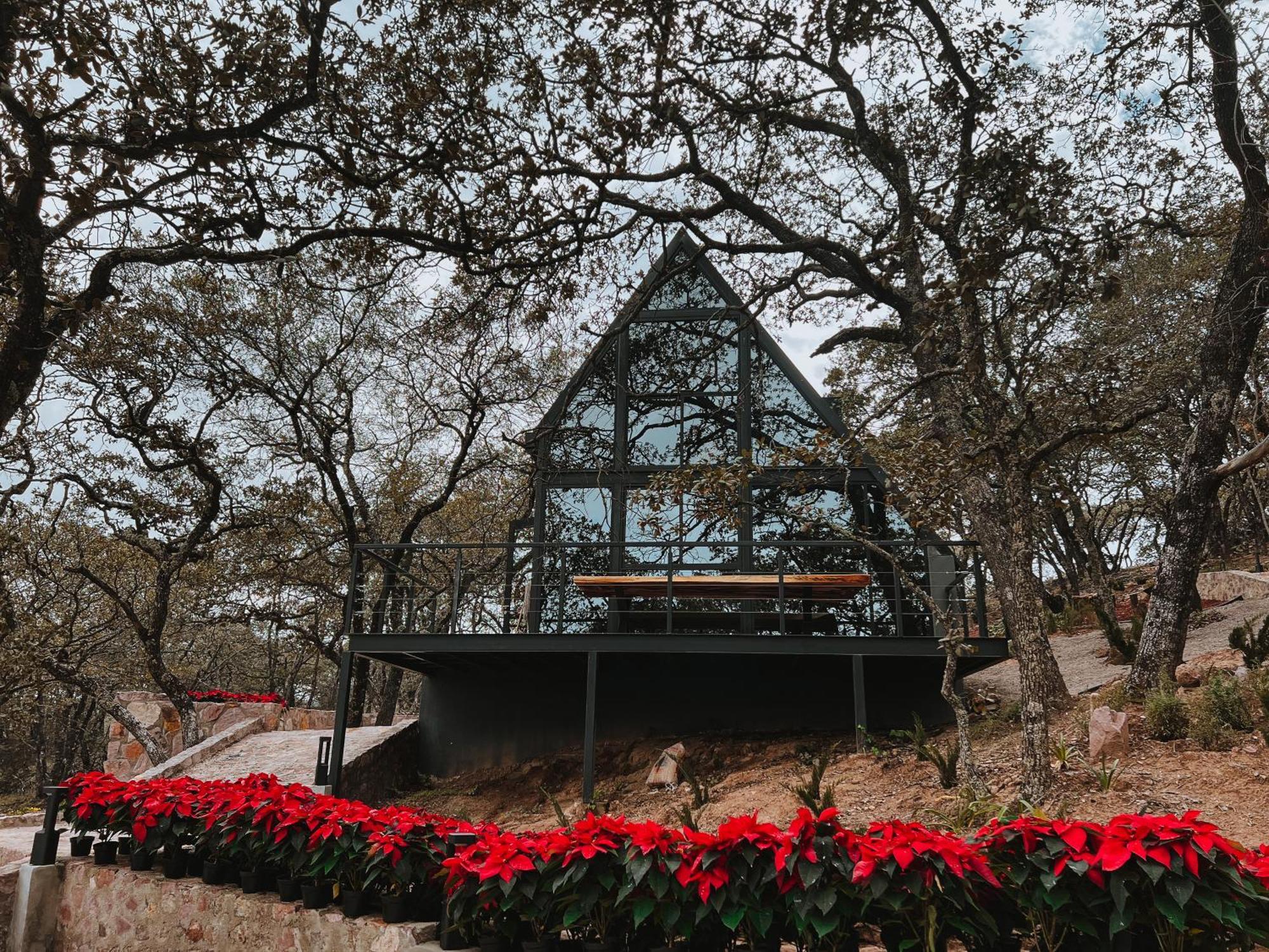 La Foret Cabanas Boutique 레온 외부 사진